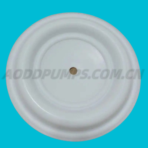 08-1040-55 Wilden PTFE diaphragm