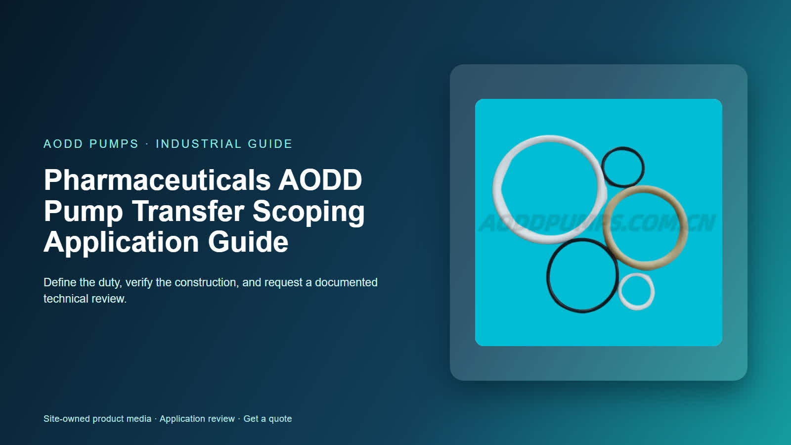 Pharmaceuticals AODD Pump Transfer Scoping Application Guide