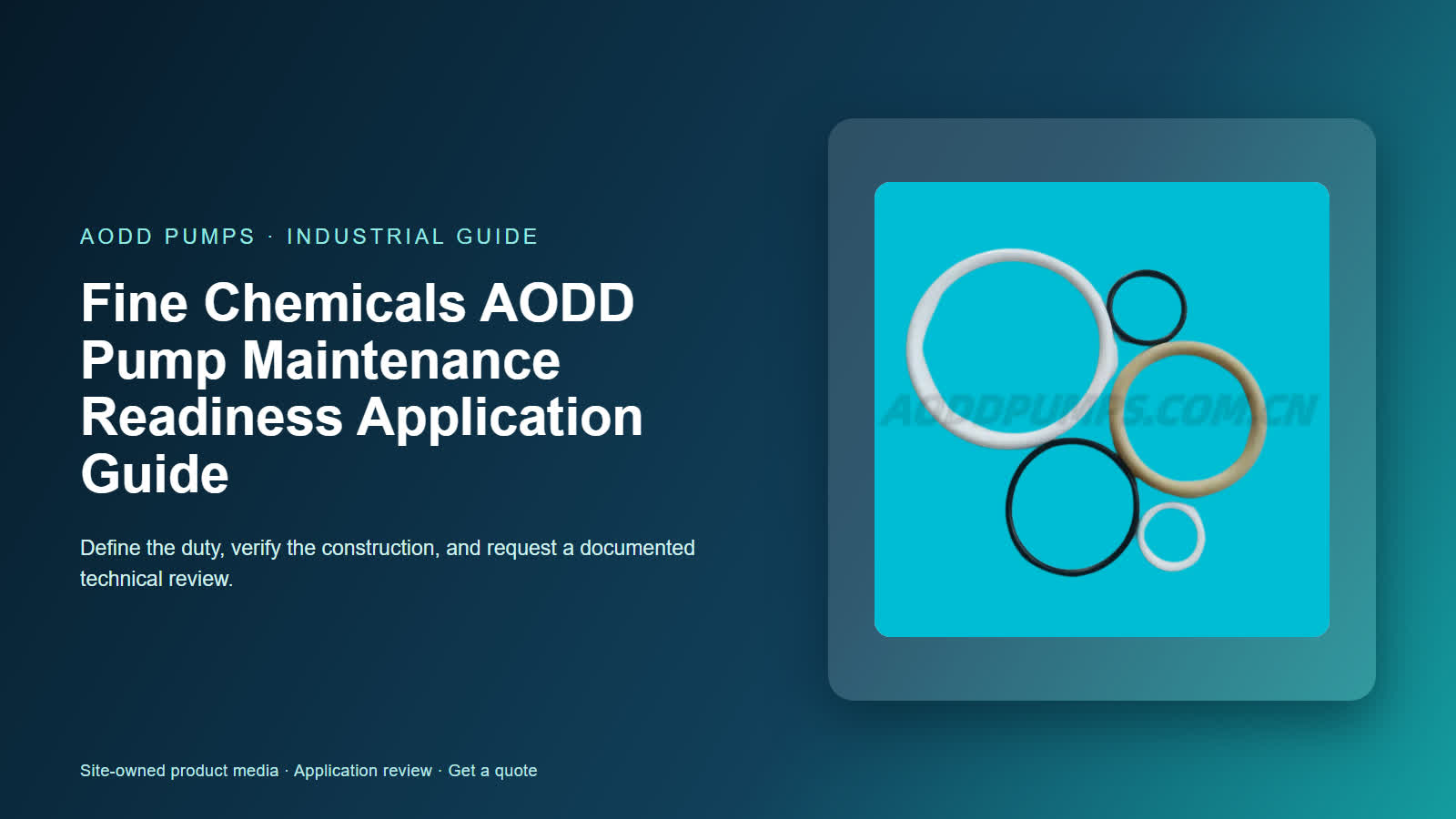 Fine Chemicals AODD Pump Maintenance Readiness Application Guide