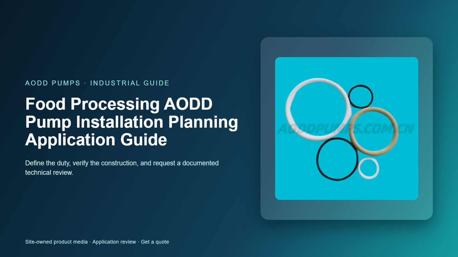 Food Processing AODD Pump Installation Planning Application Guide