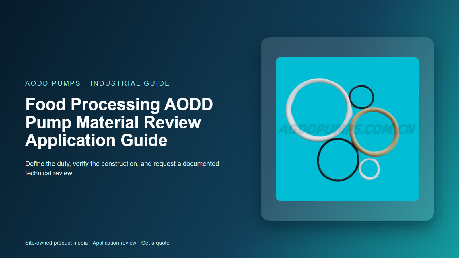 Food Processing AODD Pump Material Review Application Guide