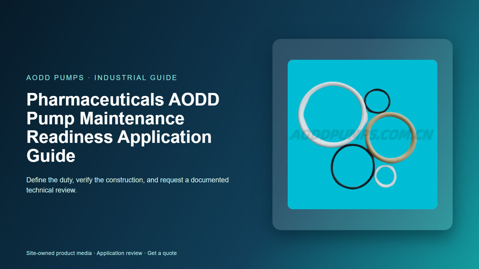 Pharmaceuticals AODD Pump Maintenance Readiness Application Guide
