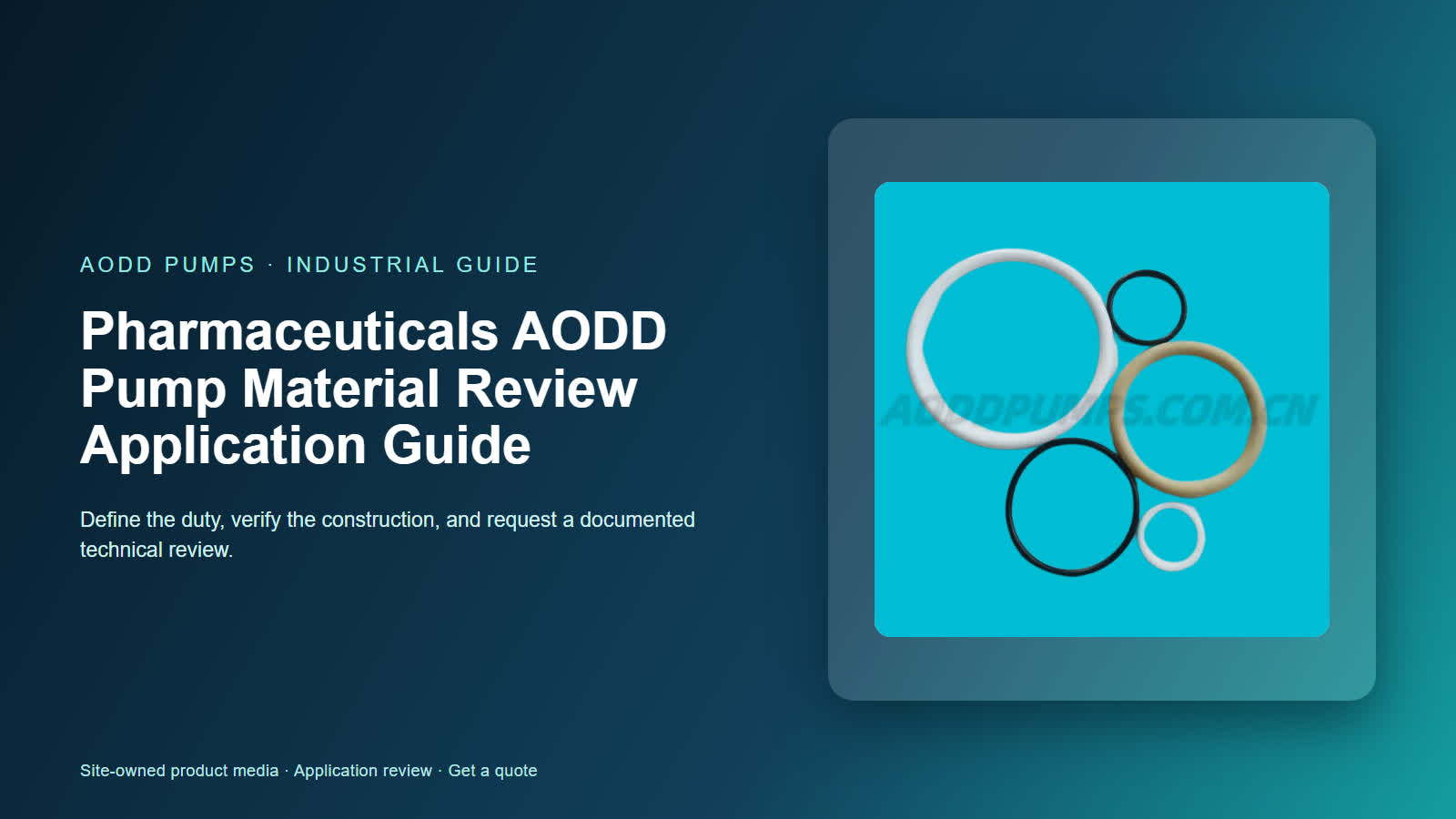 Pharmaceuticals AODD Pump Material Review Application Guide