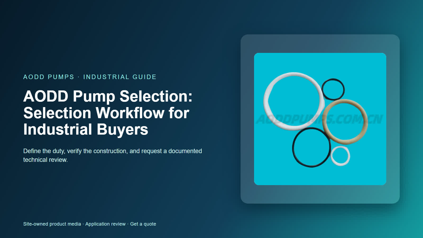 AODD Pump Selection: Selection Workflow for Industrial Buyers