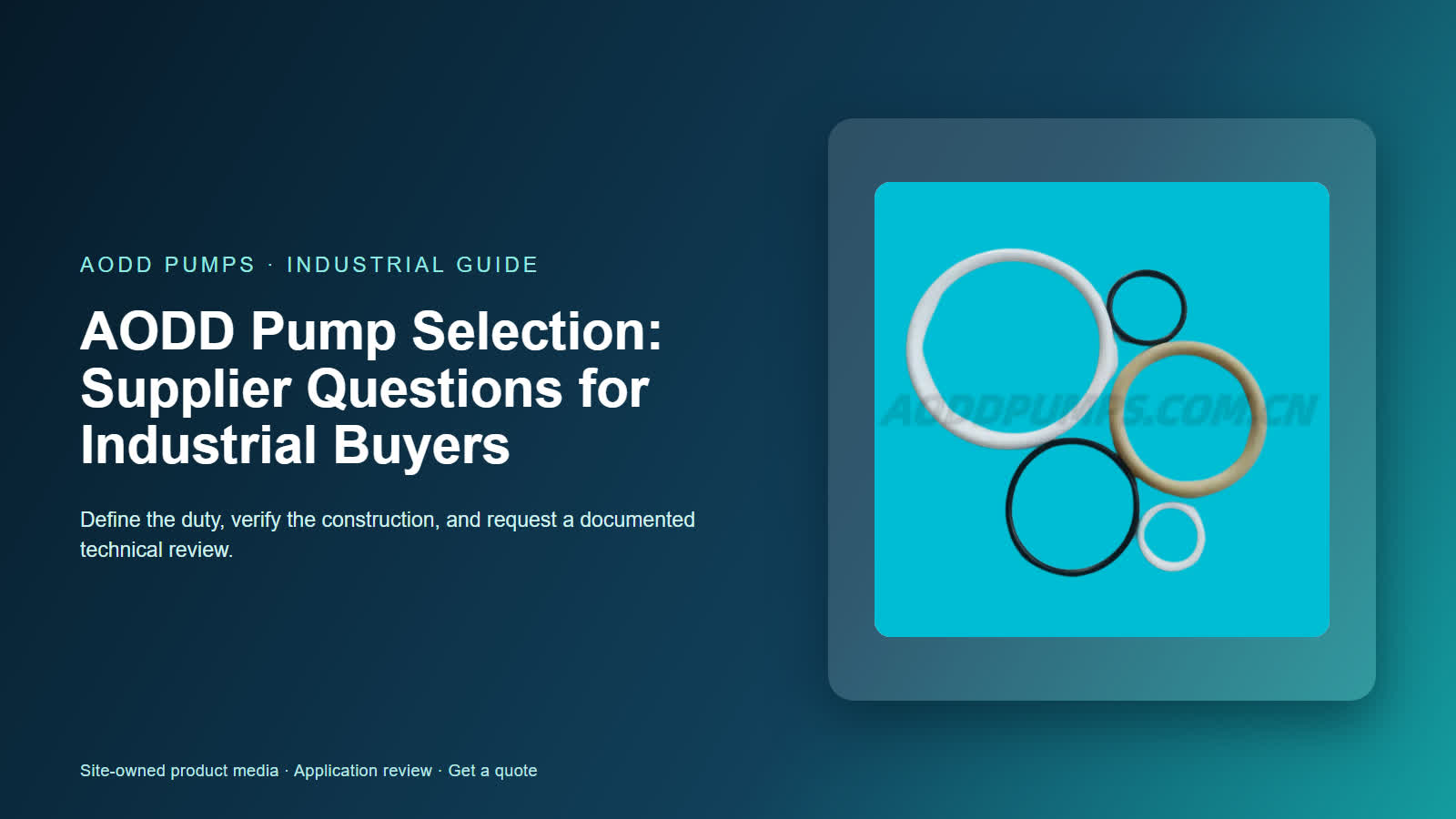 AODD Pump Selection: Supplier Questions for Industrial Buyers
