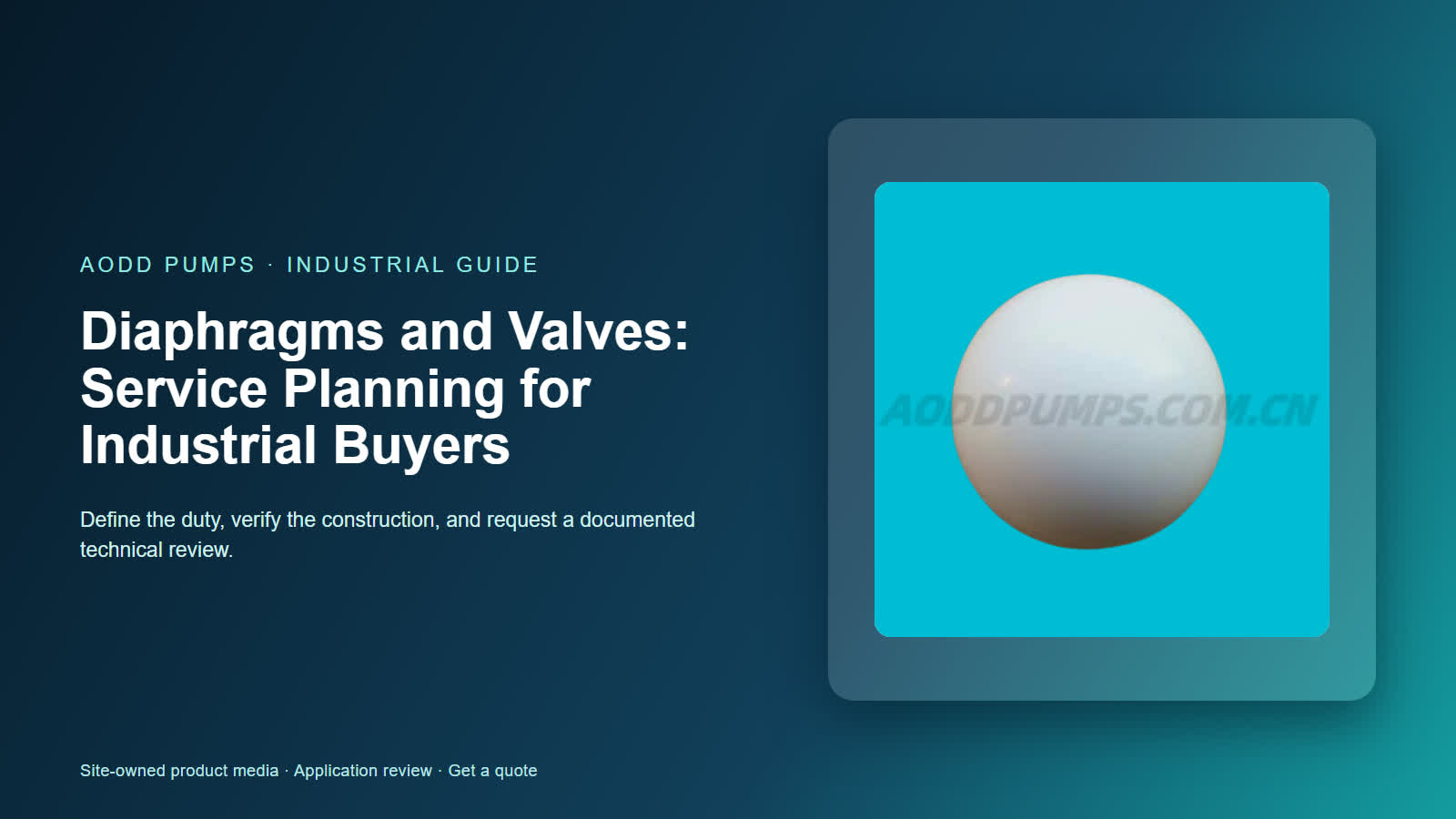 Diaphragms and Valves: Service Planning for Industrial Buyers