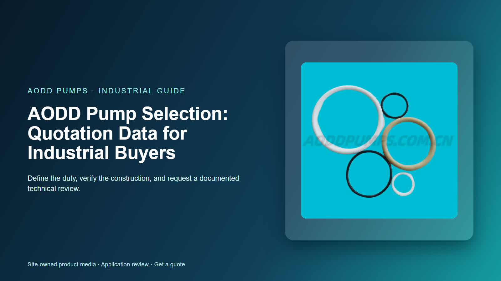 AODD Pump Selection: Quotation Data for Industrial Buyers