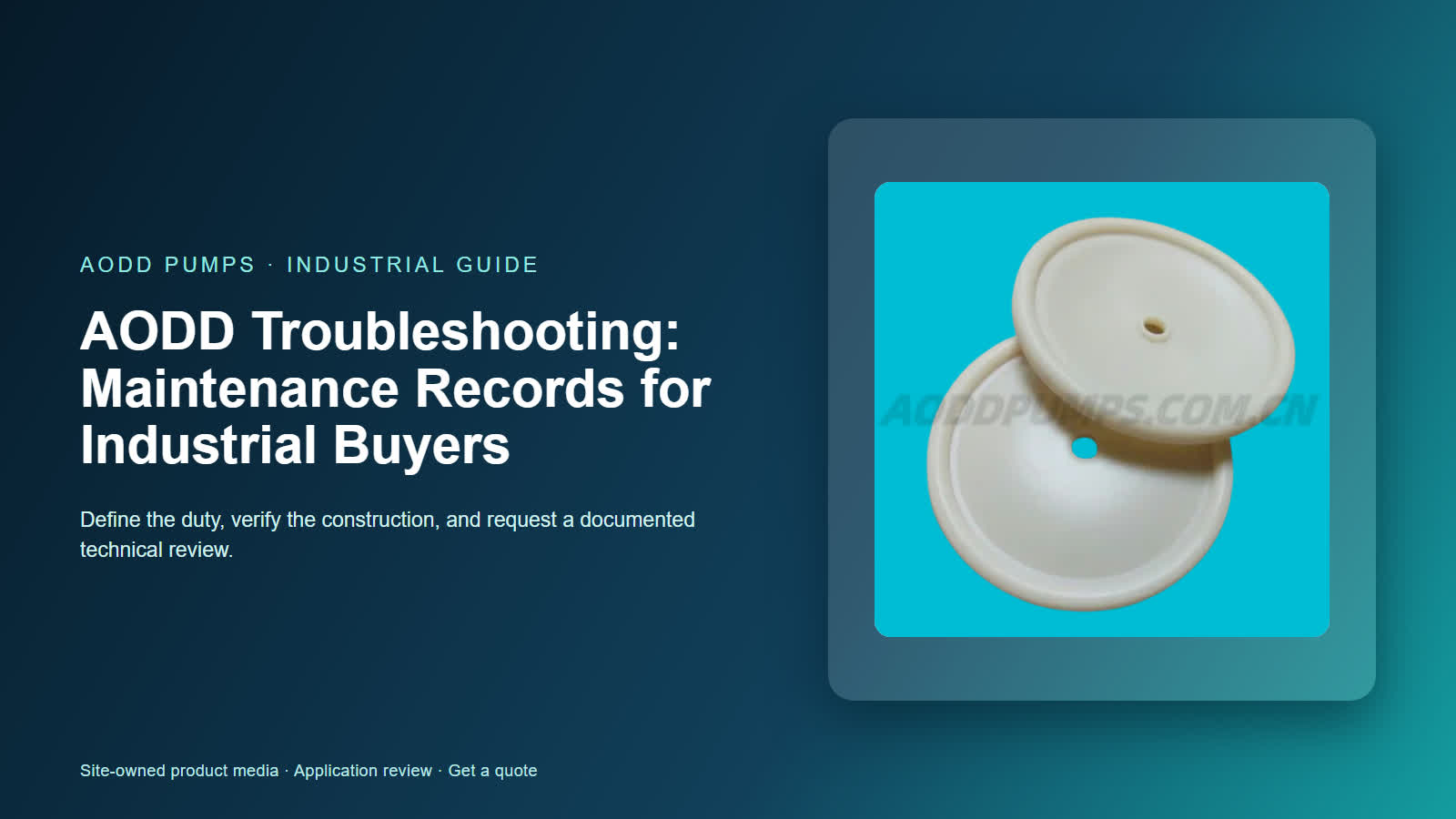 AODD Troubleshooting: Maintenance Records for Industrial Buyers